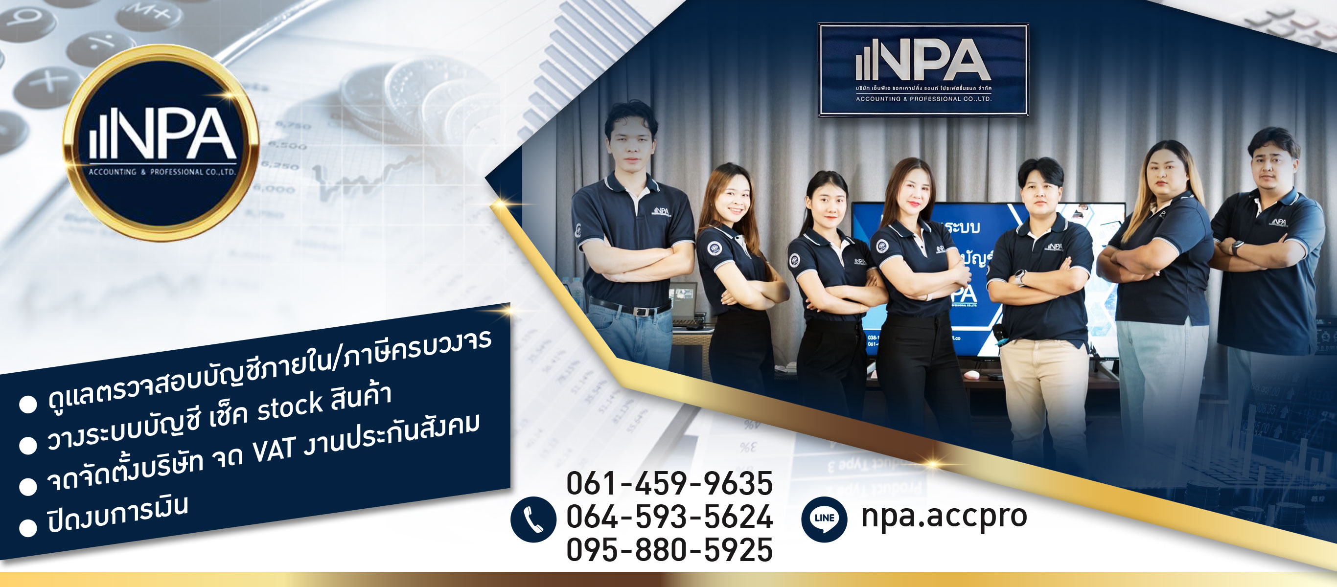 NPA Accounting & Professional_0